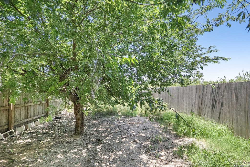 Picture 18