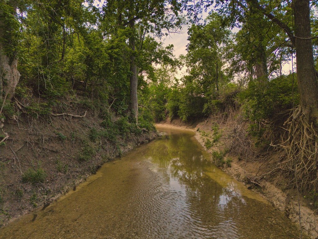 Picture 17