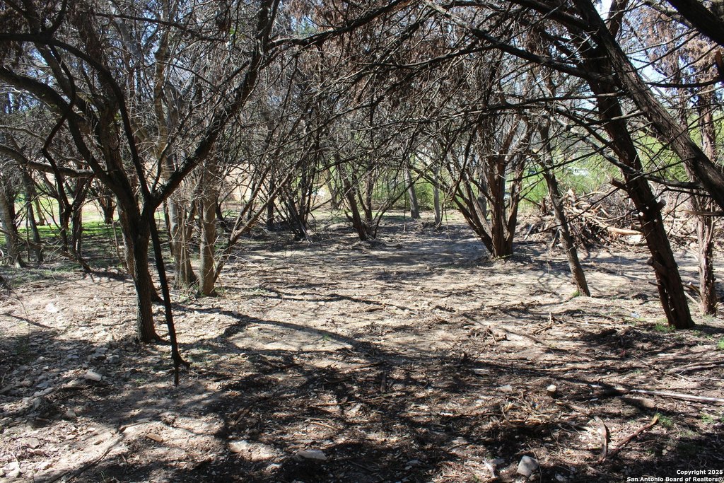 Picture 5