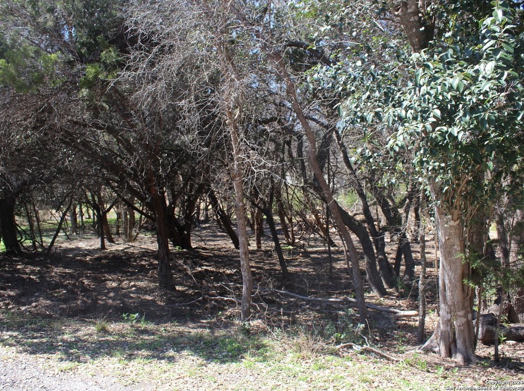 Picture 3