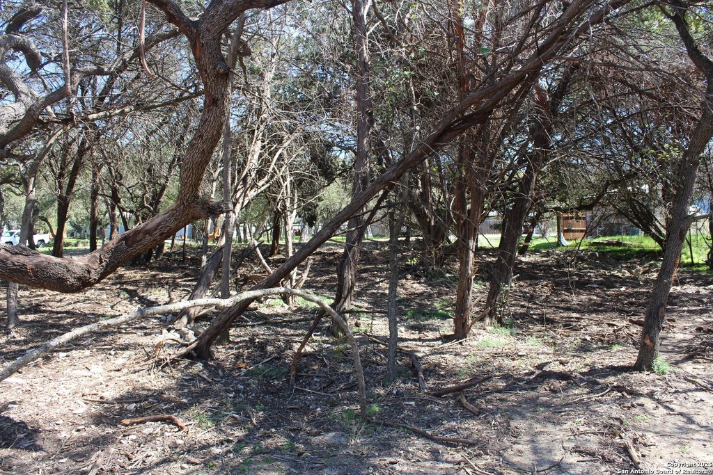 Picture 6