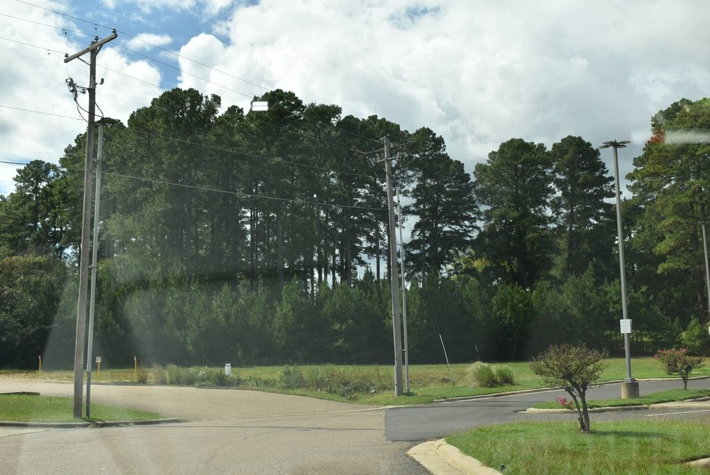 Picture 8