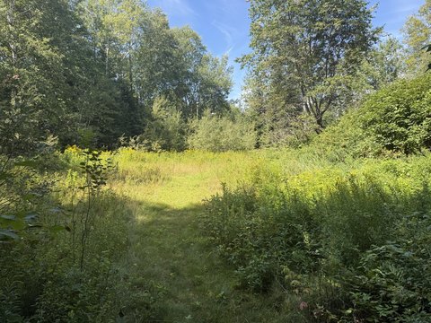 Land, Rangeley Plt, ME