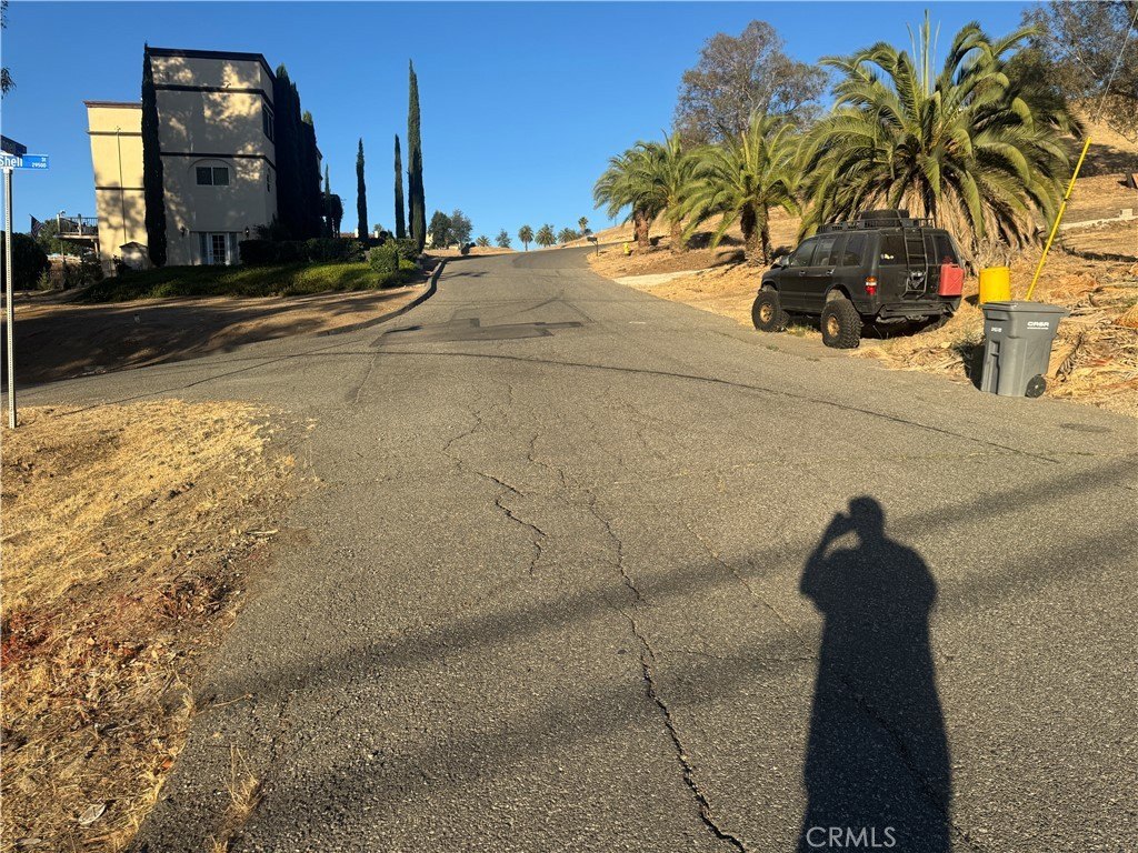 Picture 19