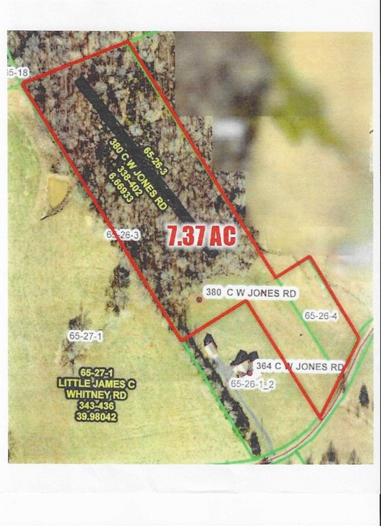 Picture 17