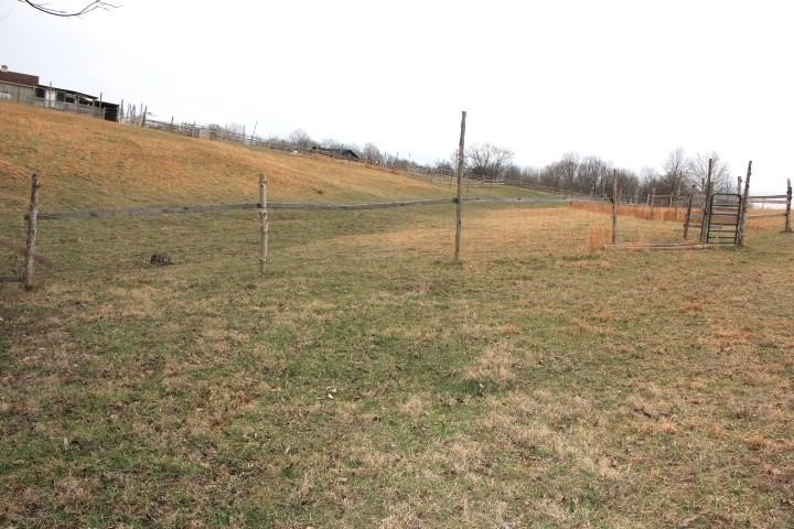 Picture 9