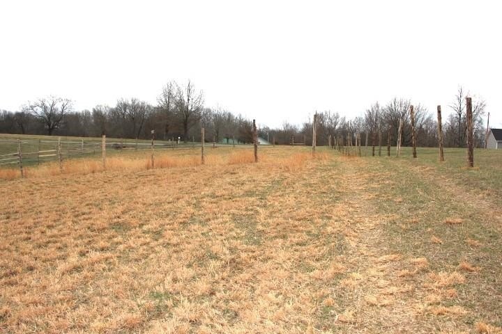 Picture 8