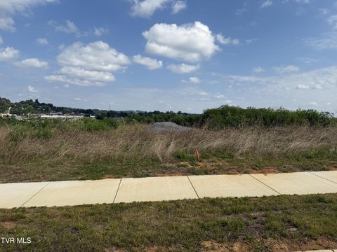 Residential Land in Johnson City