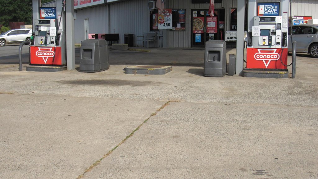 Picture 6