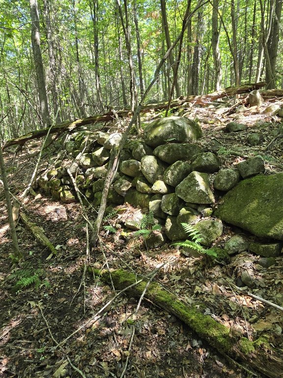 Picture 8