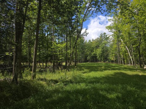 LAND - Jay, NY