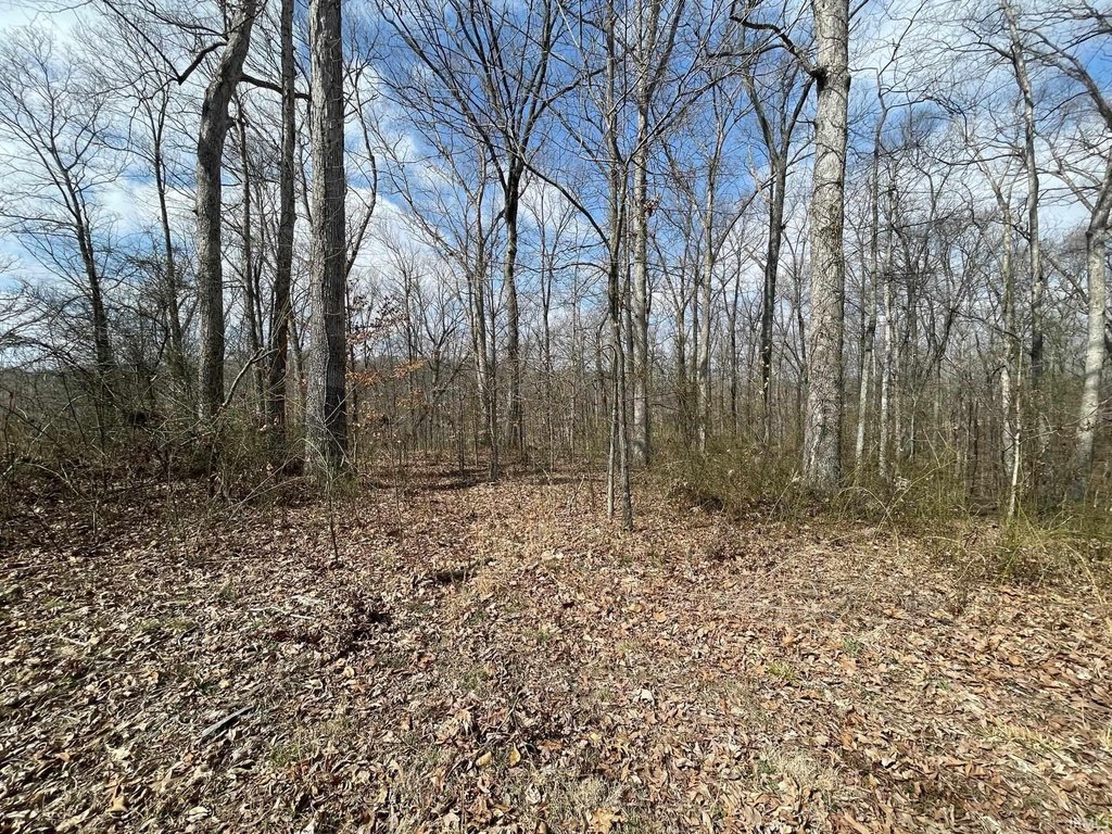 Picture 5
