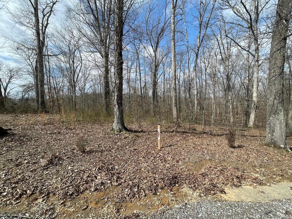Picture 4