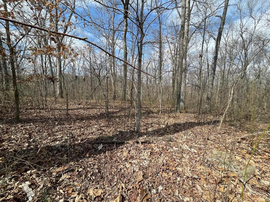Picture 3