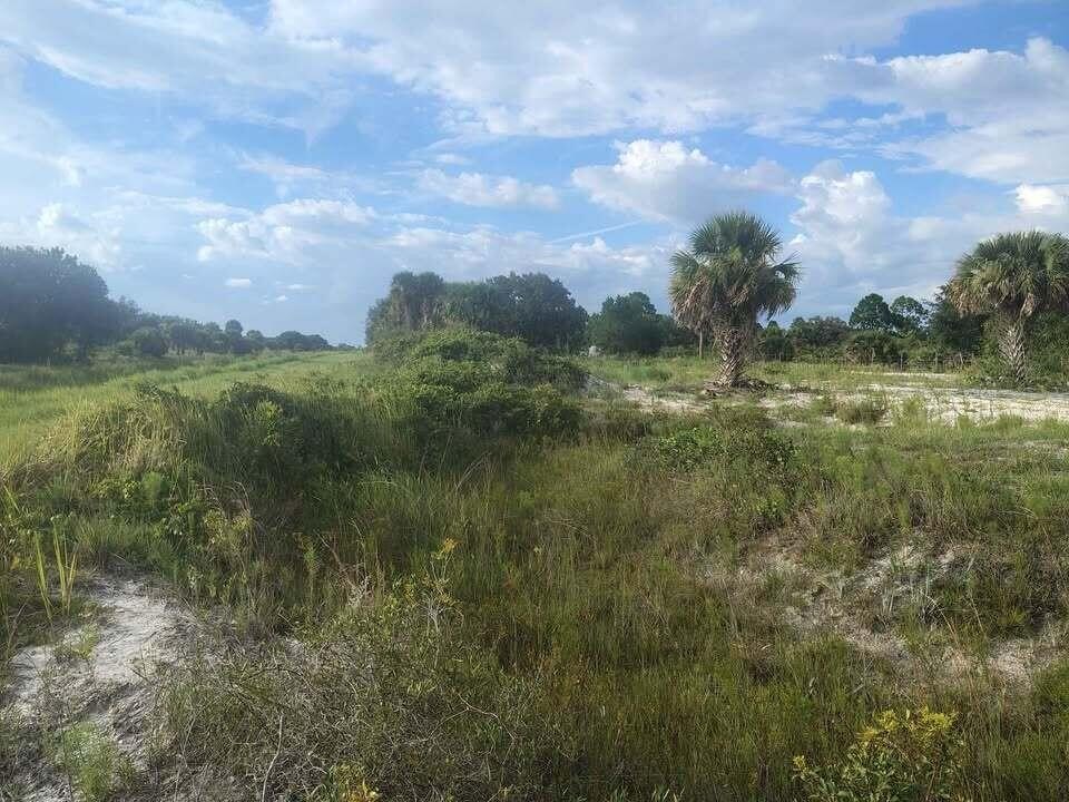 Picture 22