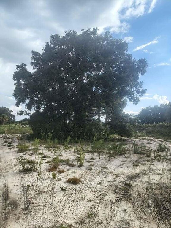 Picture 17
