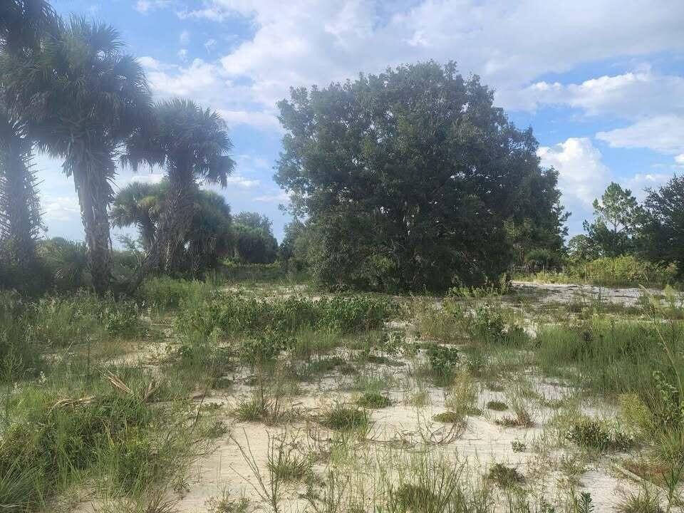 Picture 25