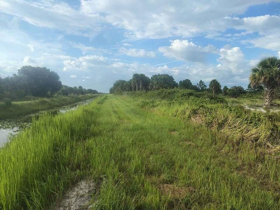 Picture 21