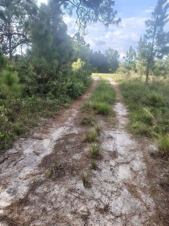 Picture 2