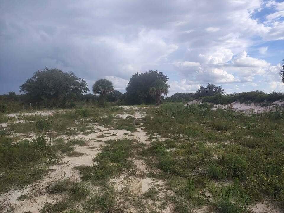 Picture 19