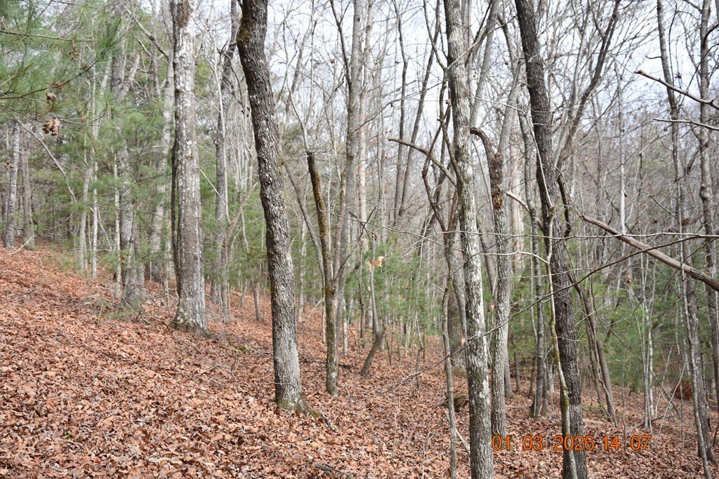 Picture 59
