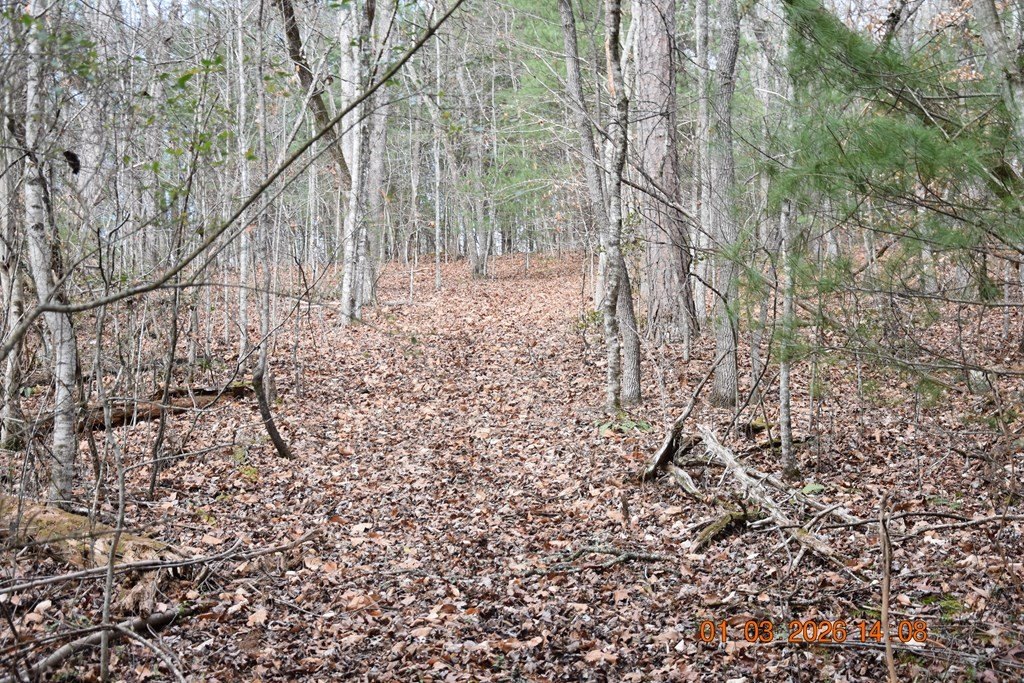 Picture 61
