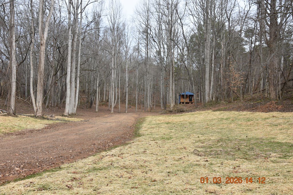 Picture 67