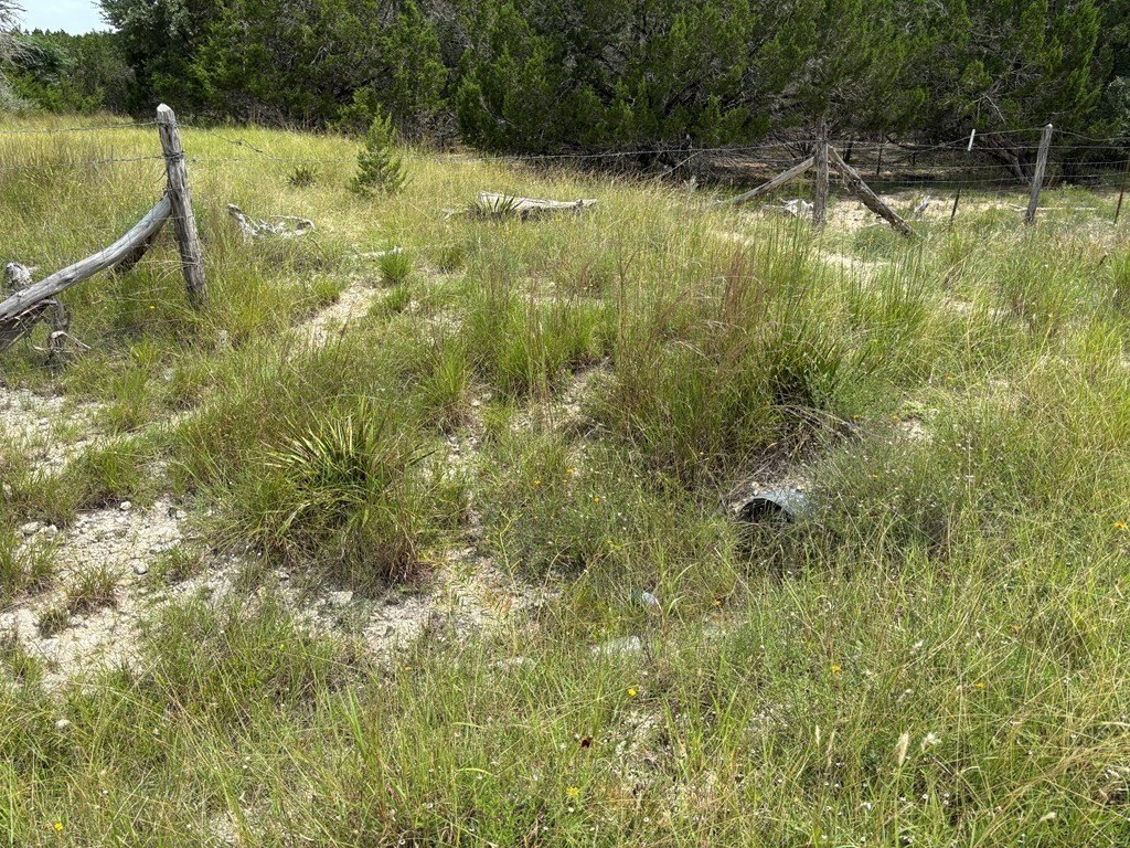 Picture 9