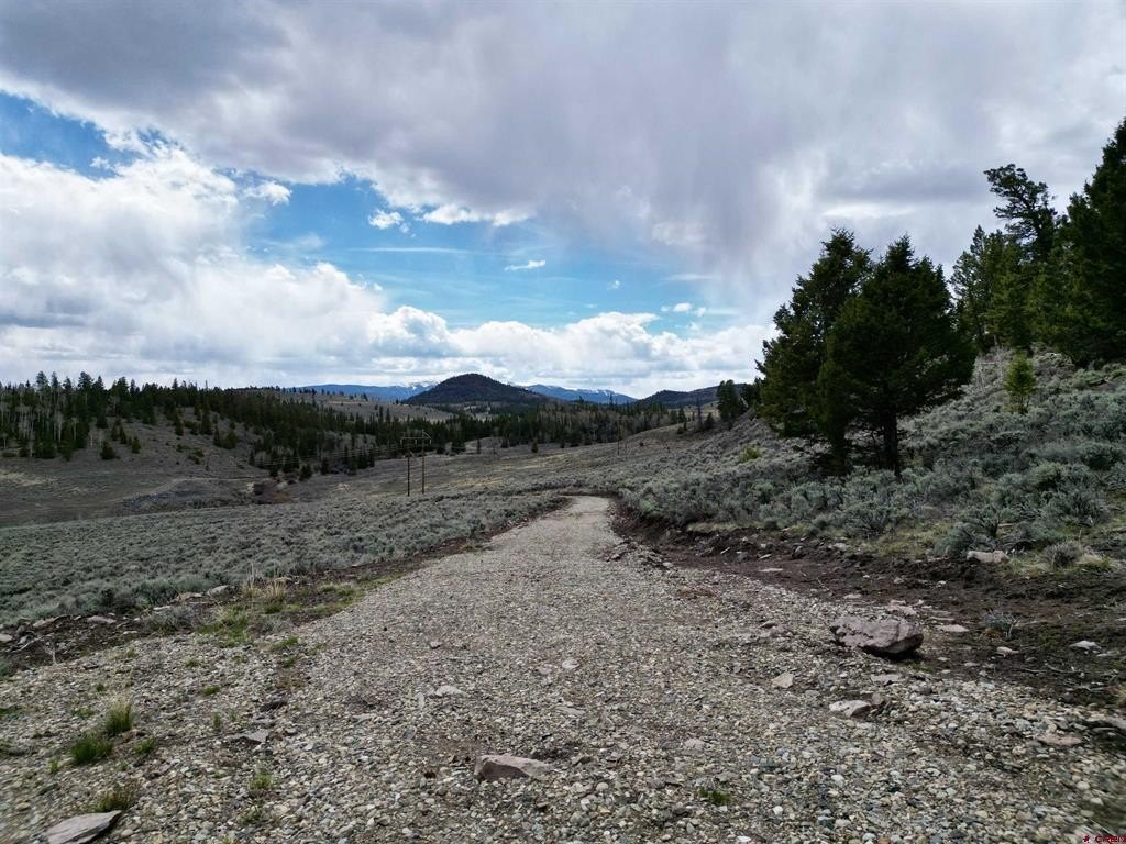 Picture 41
