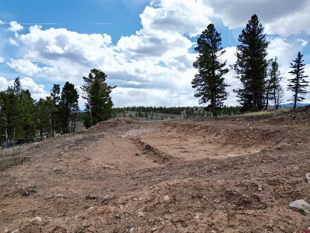 Picture 35