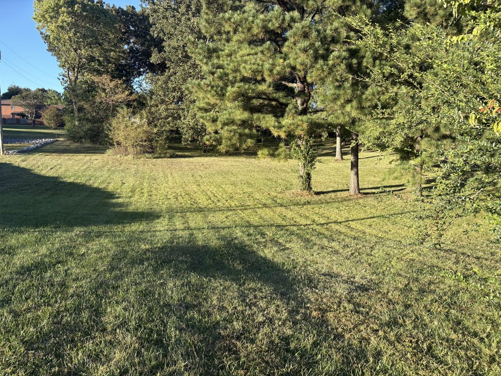 Picture 3