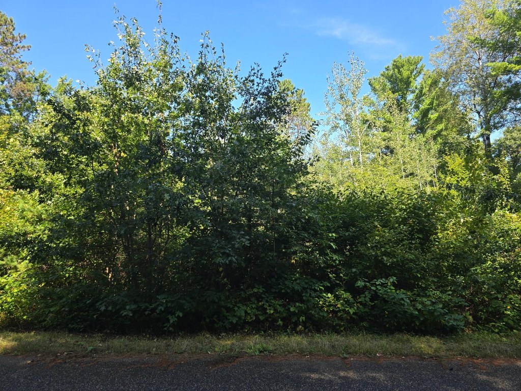 Picture 10