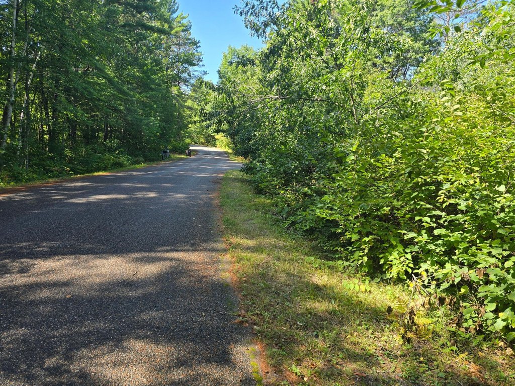 Picture 4