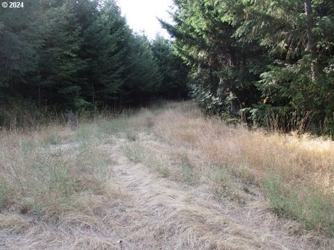 Yamhill Riverfront Acreage Investment Opportunity