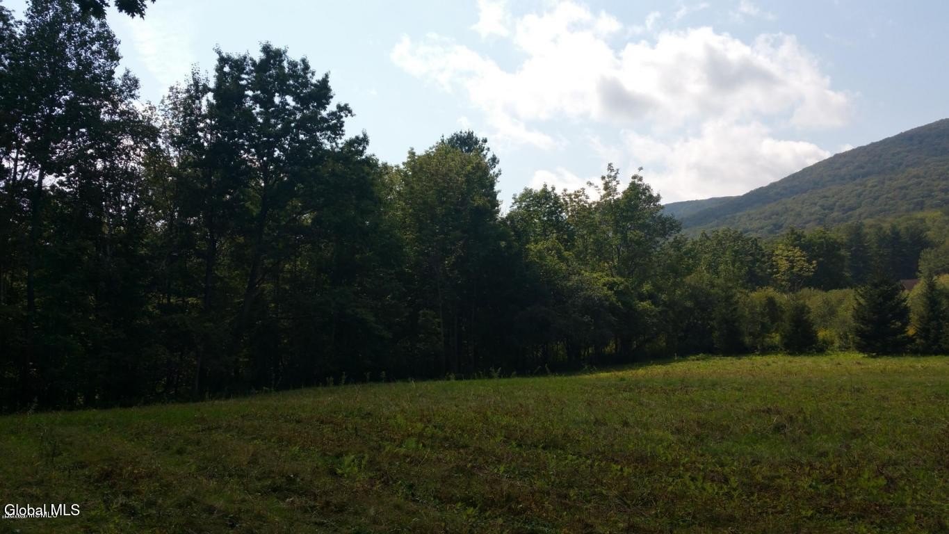 14.3 Acres in Williamstown, MA