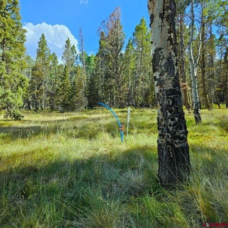 Picture 4