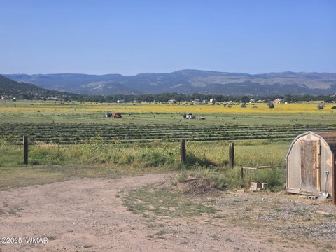 Irrigated Land For Sale