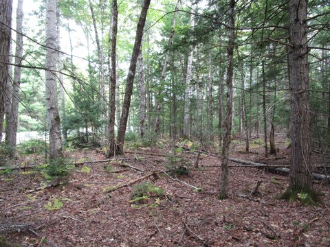 Land, Howland, ME