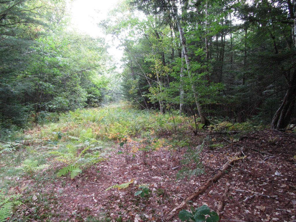 Picture 3