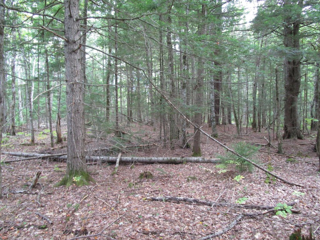 Picture 7
