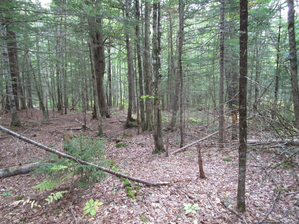 Picture 2