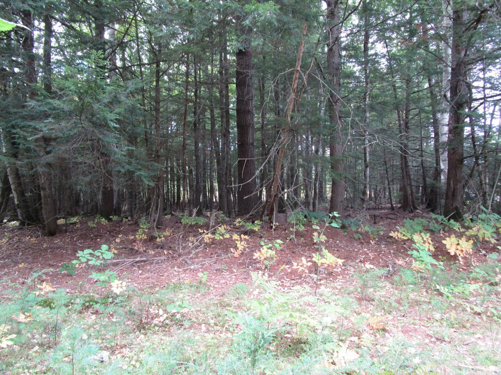Picture 6