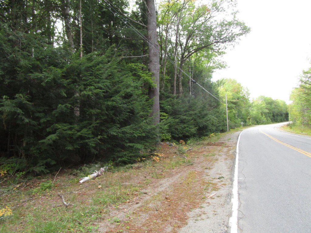 Picture 5