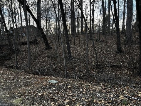 Residential Land in Winston-Salem