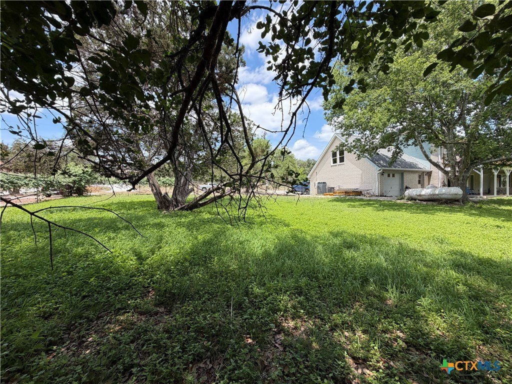 Picture 19