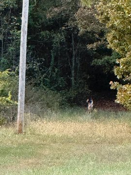 Hunting Land with Pond