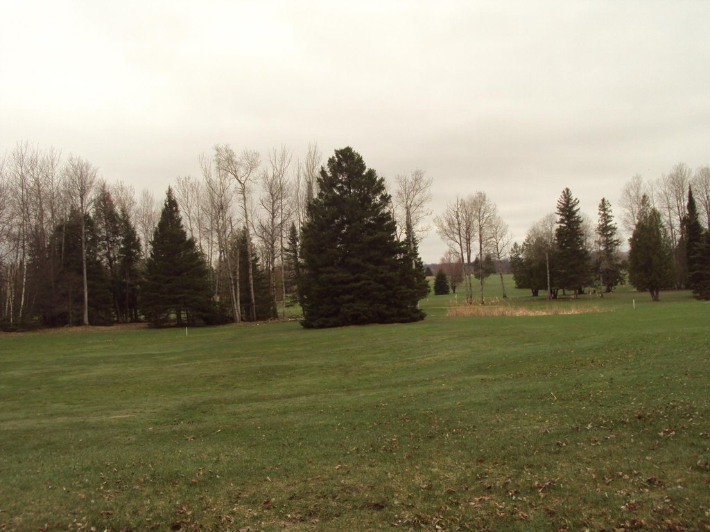 Picture 15