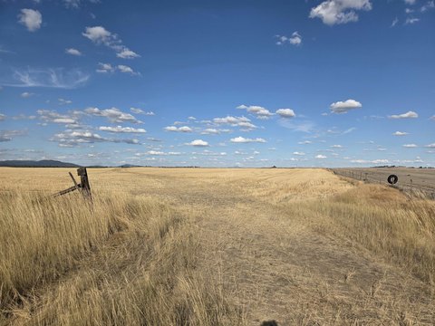 Reardan Land with Development Potential