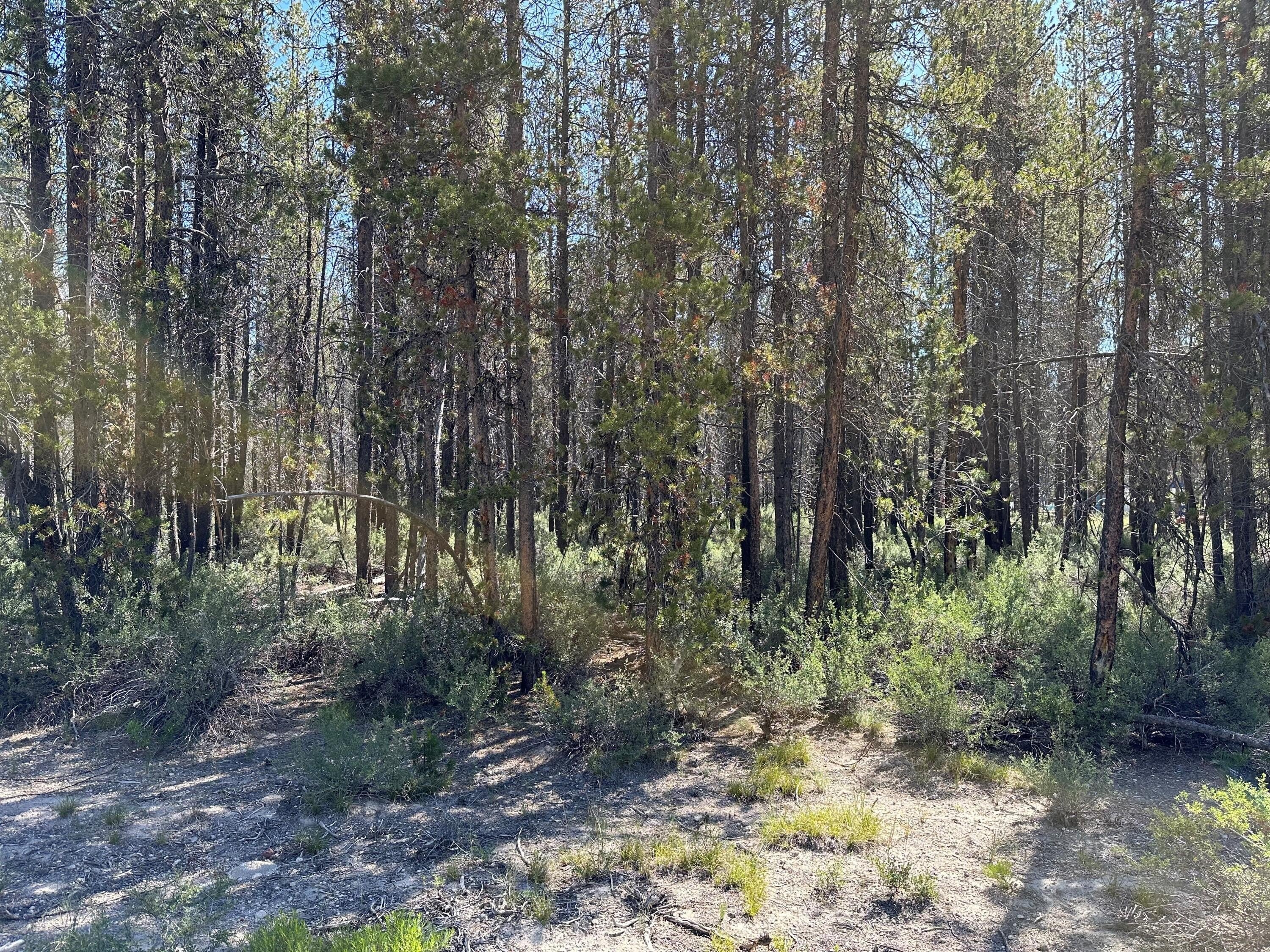 Level Wooded Land For Sale