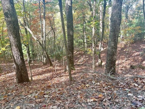 Brasstown, NC Land Opportunity